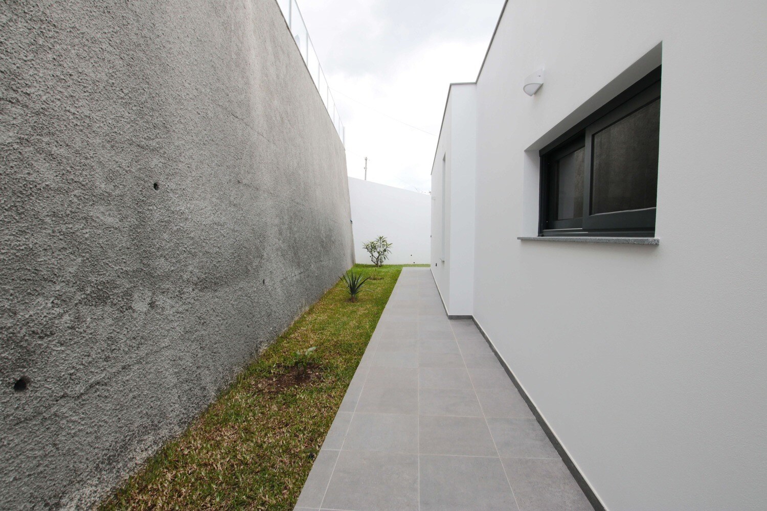 Lawned backyard pathway