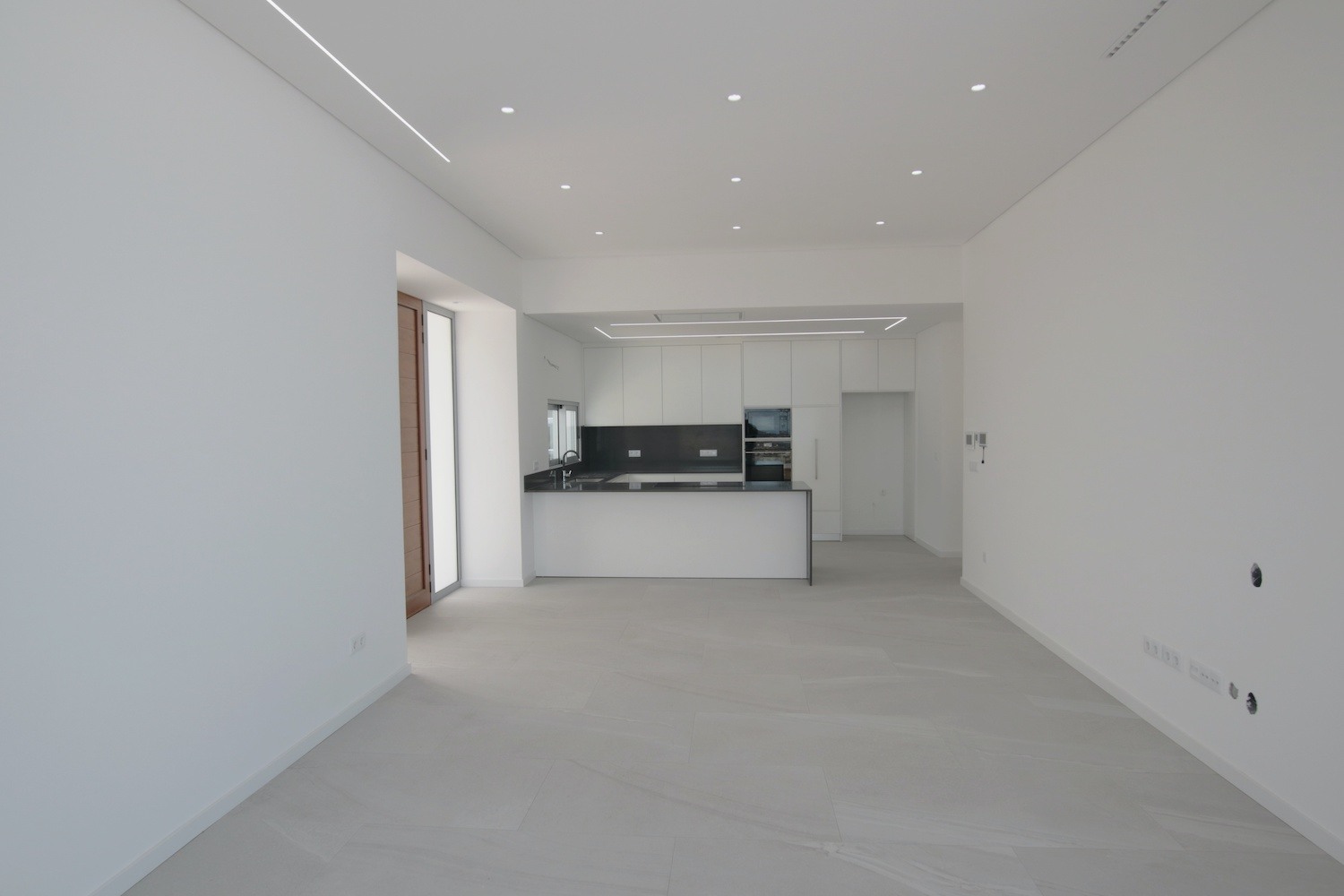 Living room and kitchen