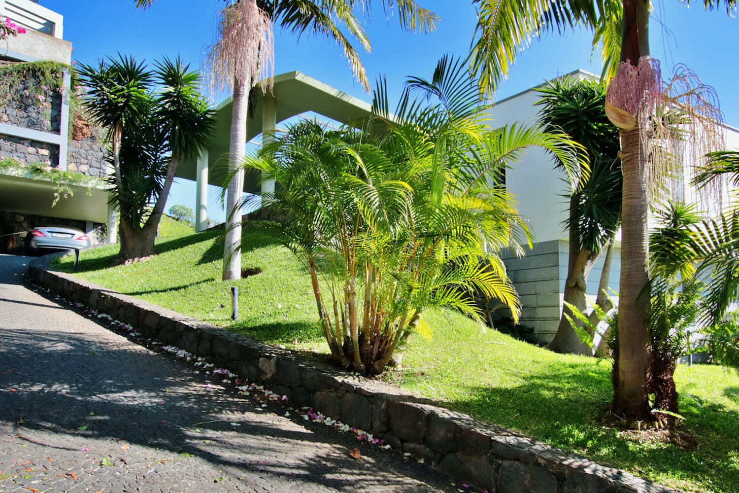 SIDE VIEW DRIVEWAY