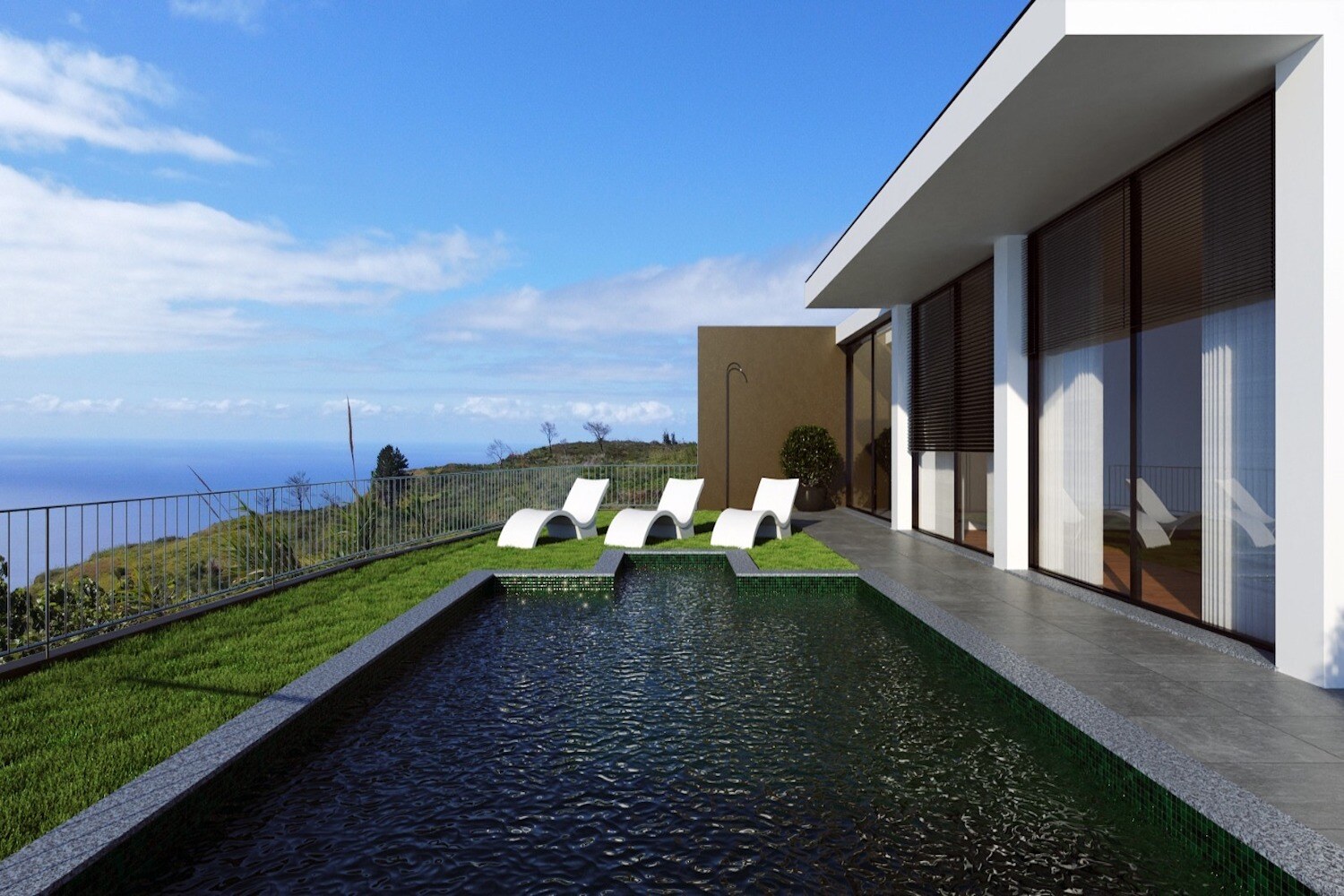 Swimming pool area and side facade of the house