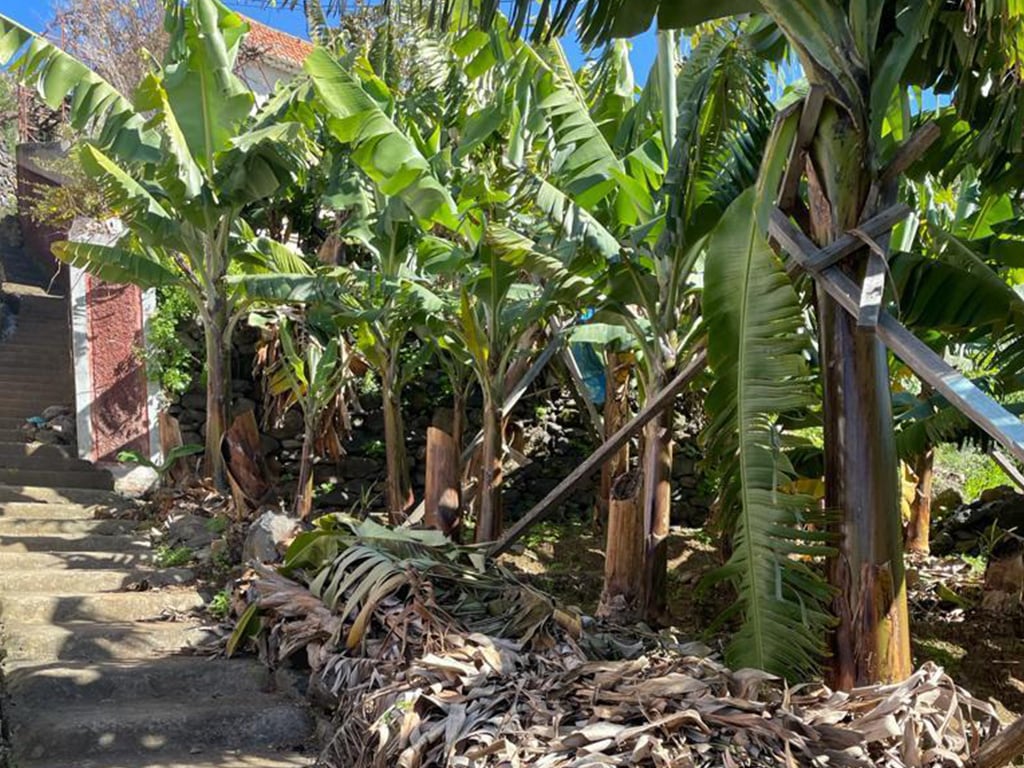 STAIRS TO ENTRANCE OF PROPERTY