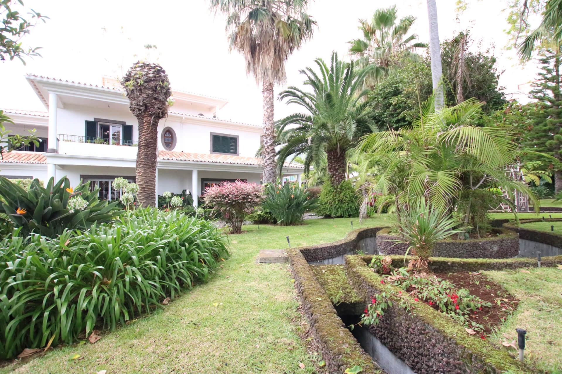 The garden of the house with a little waterway and plants and trees