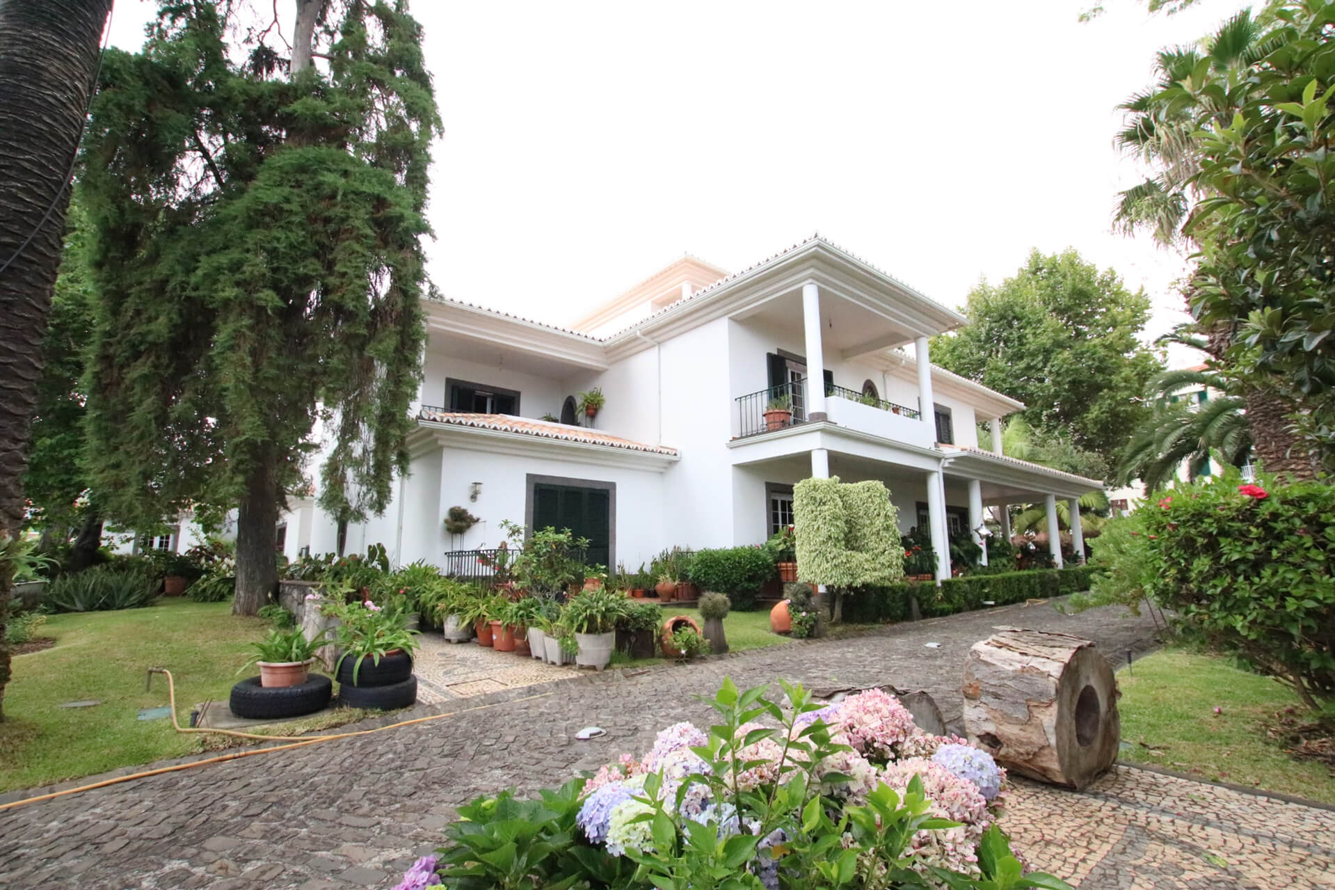 The side facade of the property with a walkway and garden areas with trees plants and flowers