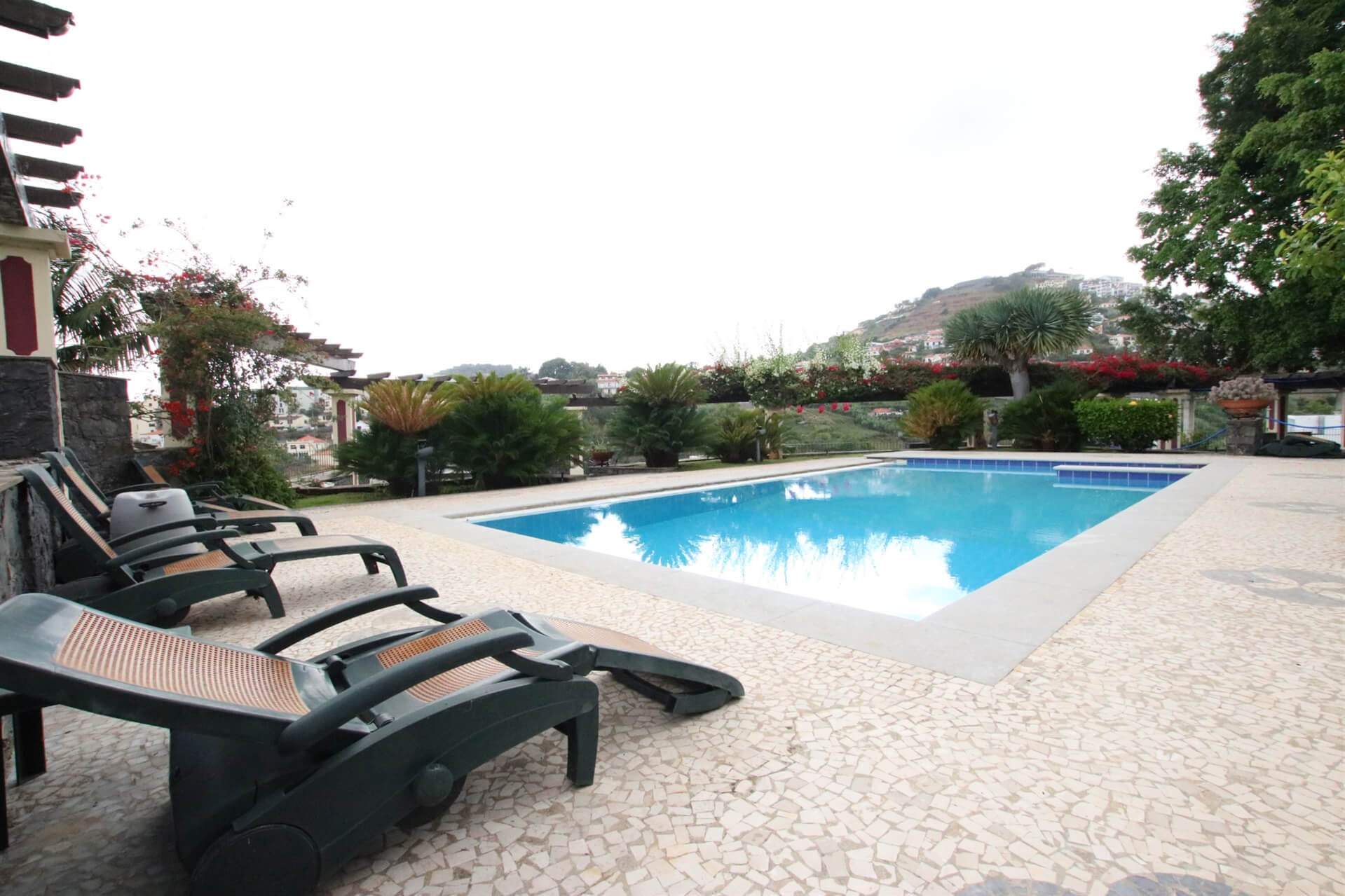 Swimming pool area with swimming pool, sun-loungers and trees 